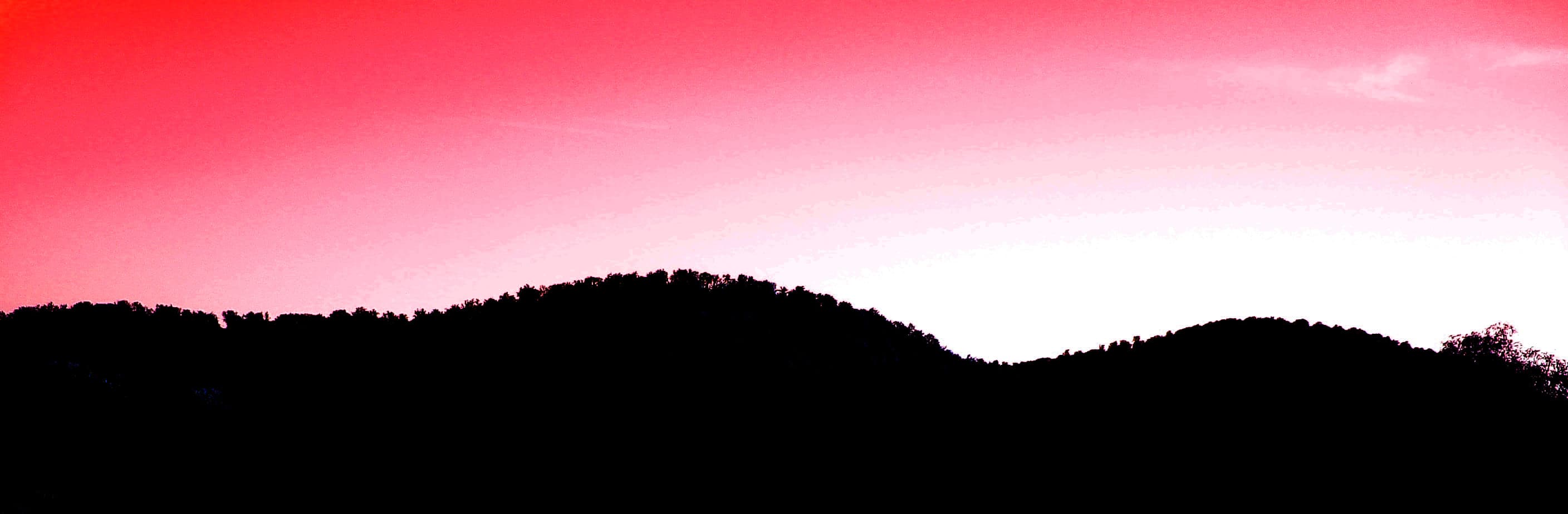 Bienvenue sur OpenMark !